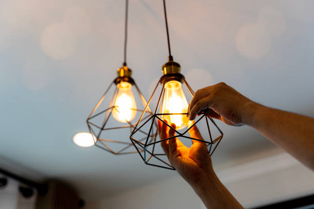 Best Electrician for Home Renovation  in Ligonier, IN